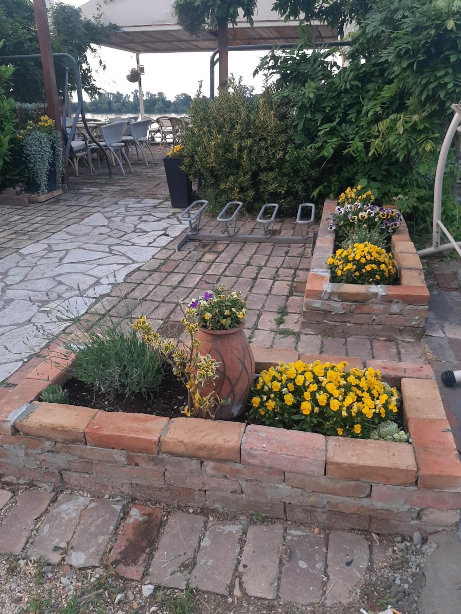 River Hostel Belgrade Luaran gambar