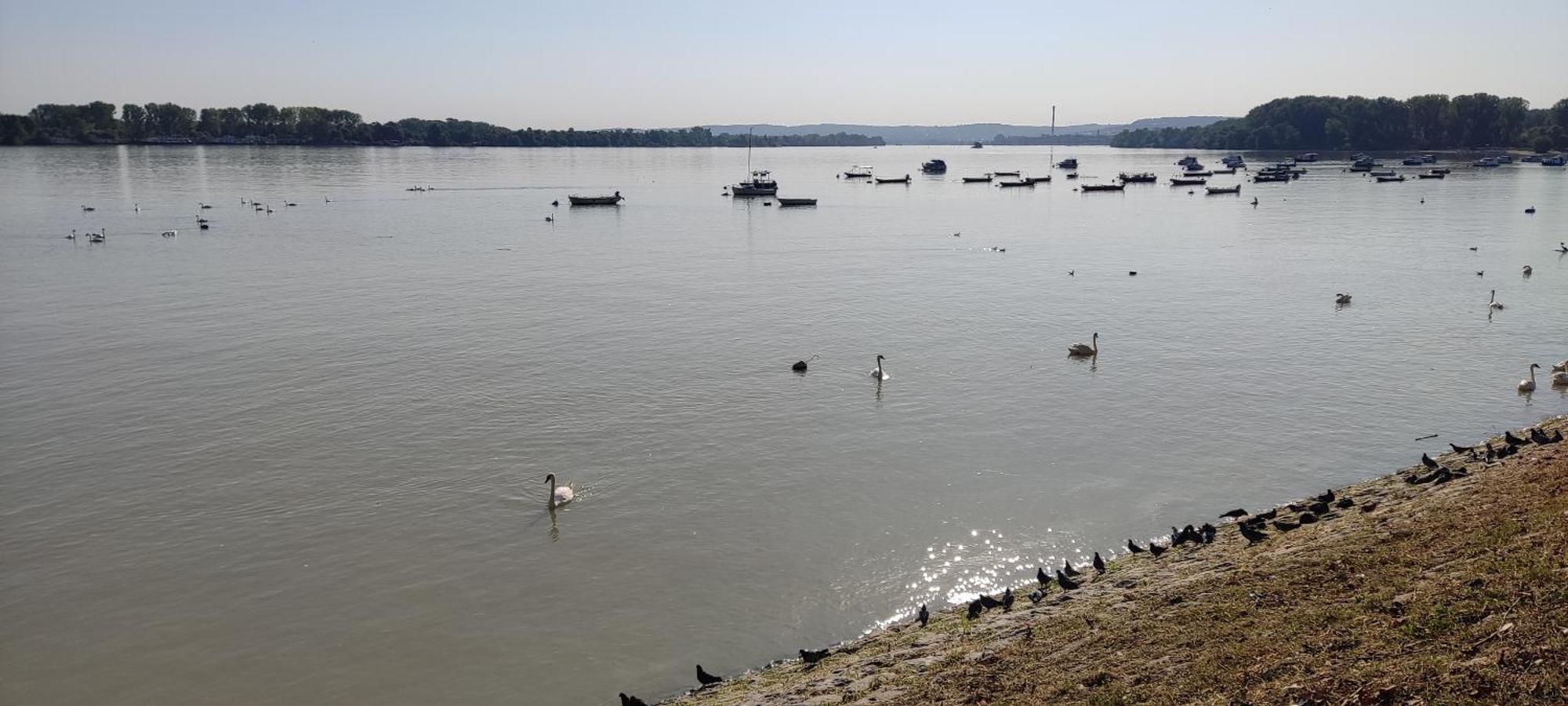 River Hostel Belgrade Luaran gambar